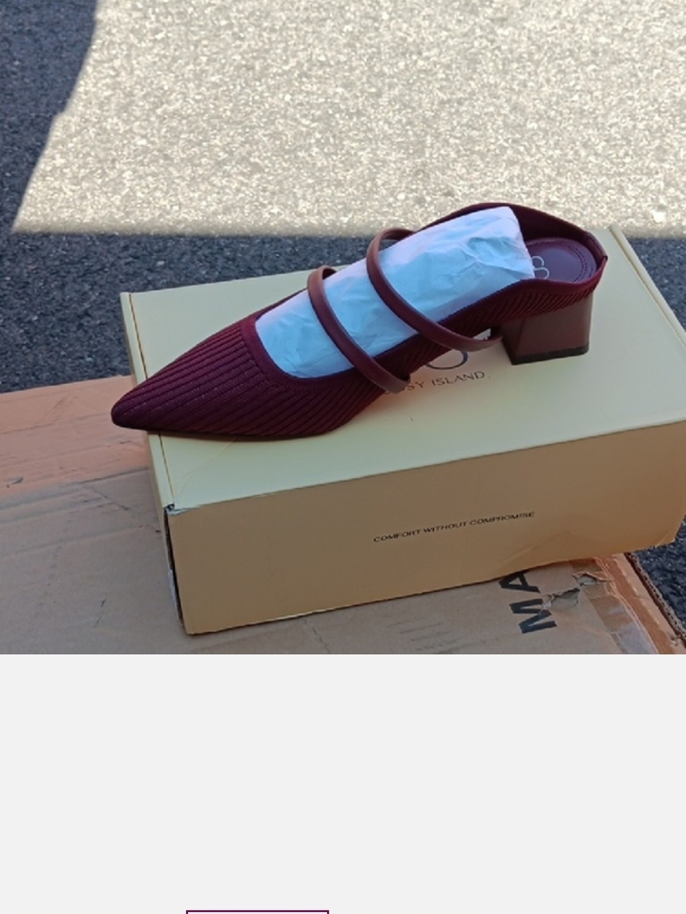 Pointed Mary Jane Block Heel Mule in Wine